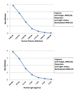 MilliporeSigma Rabbit anti-Human IgA, Clone: RM128, Secondary Antibody,